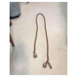 9.5ft Double Hook Chain