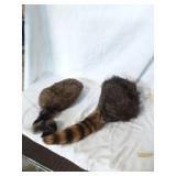 Pair of Vintage Coon Skin Caps
