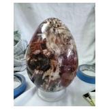 Polished Petrified Wood Egg