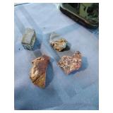Petrified Wood and Pieterite