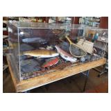 Nice trout display featuring rainbow, brown and