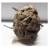Bald Face hornet nest. Measures 13" high.