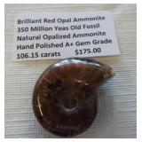 Natural hand polished opalized brilliant red opal