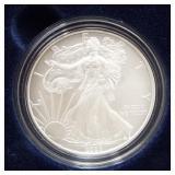 2008 Burnished American silver eagle.