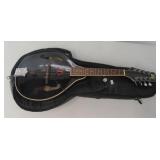 Rogue mandolin with Superior soft case. Nice