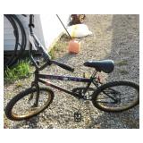 PTI Sports Rad Cat boys bike.