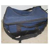 (2) Bowling bags and a carry case.