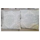 (2) Large Throw Pillows=