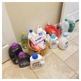 Laundry Detergent and Laundry Care Items