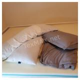 (3) Pillows and Queen Sized Duvet Cover