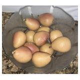 (1) Large Fruit Bowl With Base