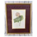 17x21.5in. Framed Print