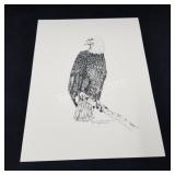 (9) 12x16in Patricia Habern Gault Poster Prints