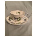 Shelley Fine English Bone China Cup and Saucer