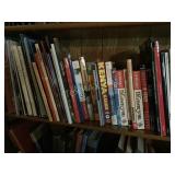 Collection of International & Local Travel Books