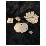 Coral; Shells and Sand-dollars