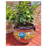 Talavera with Plant - Small