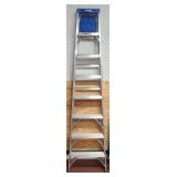 Werner 8 Foot Ladder