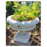Short White Pedestal Planter