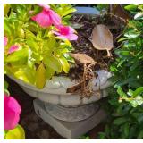 Short White Pedestal Planter