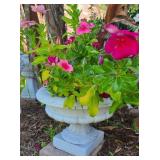 Short White Pedestal Planter