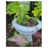 Short White Pedestal Planter