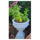 Tall White Pedestal Planter