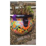 New Guinea Impatiens