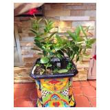 Large Talavera Ball Footed Square Planter