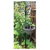 Plant Hanger with Plant