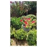 Plant Hanger with Petunia Plant