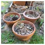 (3) Short Terracotta Pots