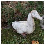 12in Cement Duck