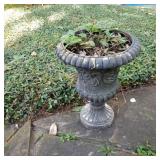 20in Plaster Urn Planter with Live Plant