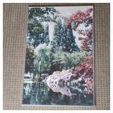 20x30 Framed Grden Print 20x30 Framed Grden Print