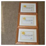 (3) Award/Document Frames (3) Award/Document Frames