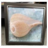 Seashell Art Print (11x11)