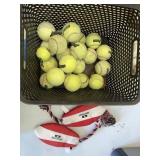 Tennis Balls and Dog Toys