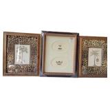 (2) 16"×13" Animal Print Matted Print + 11"×14"