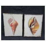(2) 8x10in Shell Prints on Canvas