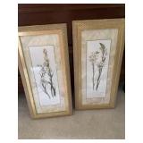 Carol Robinson Tuberose & Ornithogalum Prints