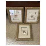 (3) Framed Flower Prints