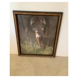 White Tail Buck Framed Photograph