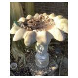 Bird Bath