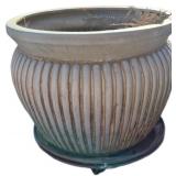 Potted Plant on Wheels