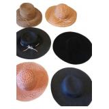 (6) Ladies Hats