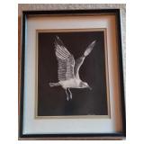 Framed B&W Bird Art