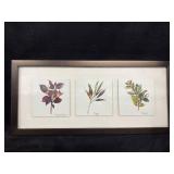 11.5x25.5 in. Framed Print