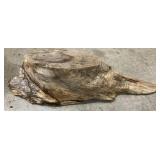 Unique Piece of Wood