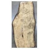 Unique Piece of Wood  35in x 17in